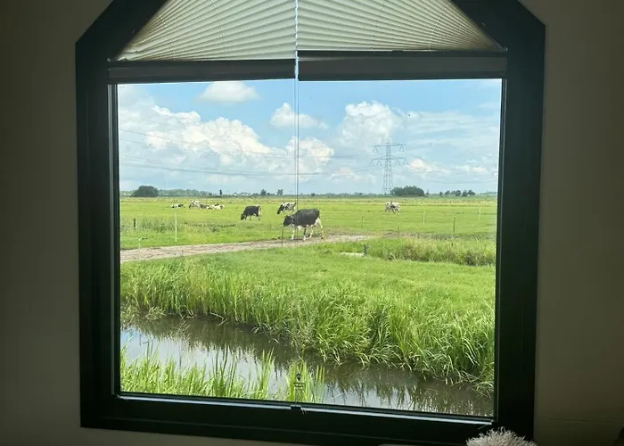 Tinyhouse Noorderlicht * هاسْتريشْتْ